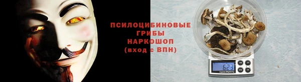 Альфа ПВП Алексин
