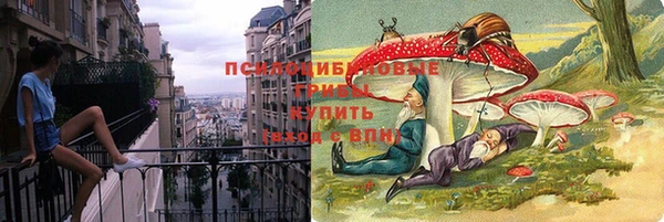 соль курить ск Алексеевка
