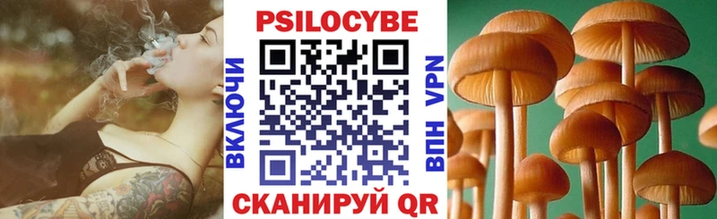 Псилоцибиновые грибы Psilocybe  Павлово 